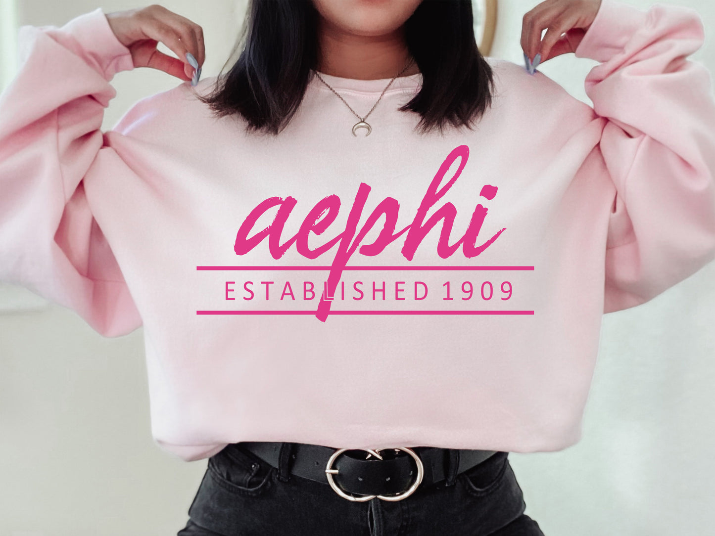 Alpha Epsilon Phi All Pink Sorority Sweatshirt _ 754g