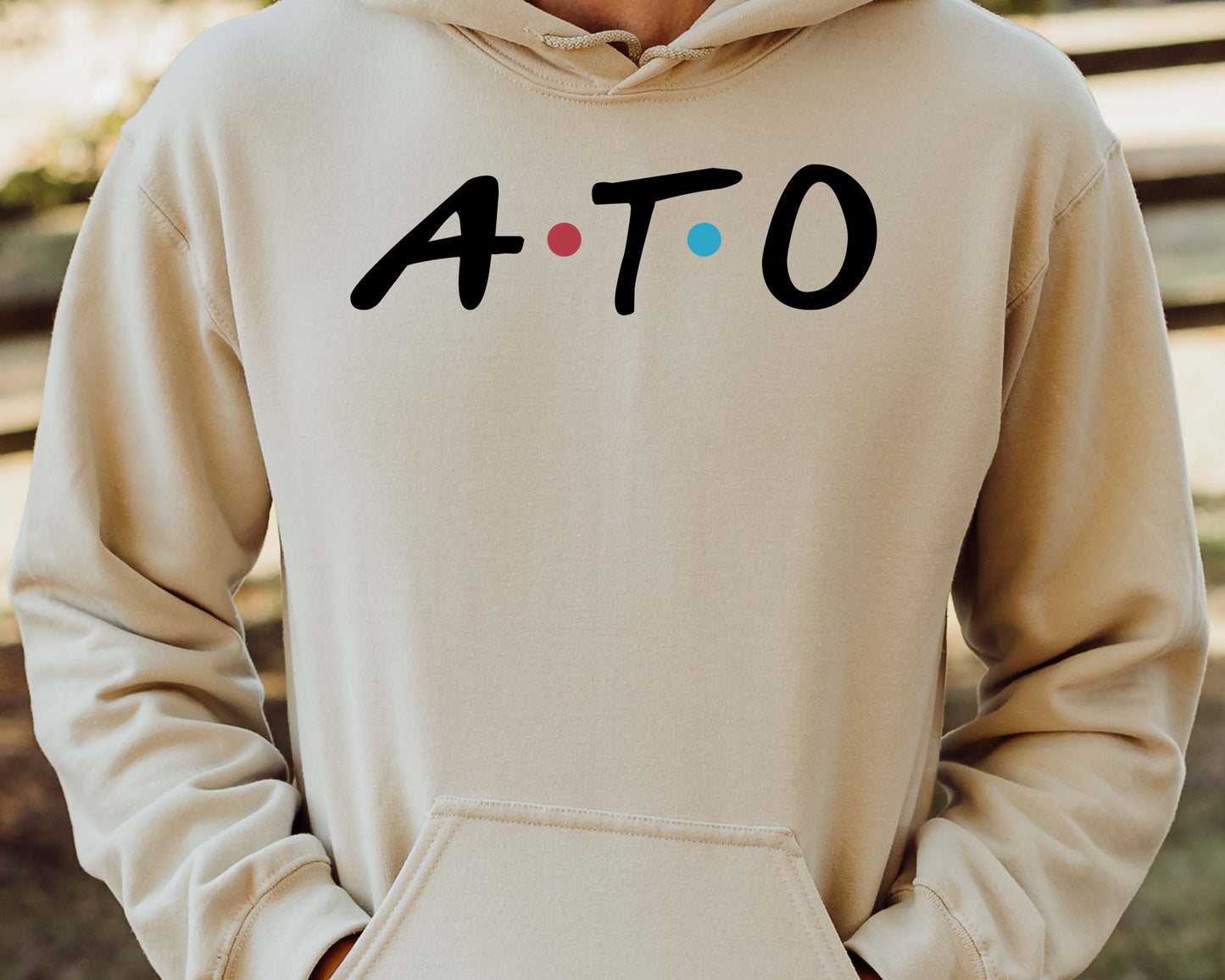 Alpha Tau Omega Greek Friends Fraternity Hoodie _ 30675g