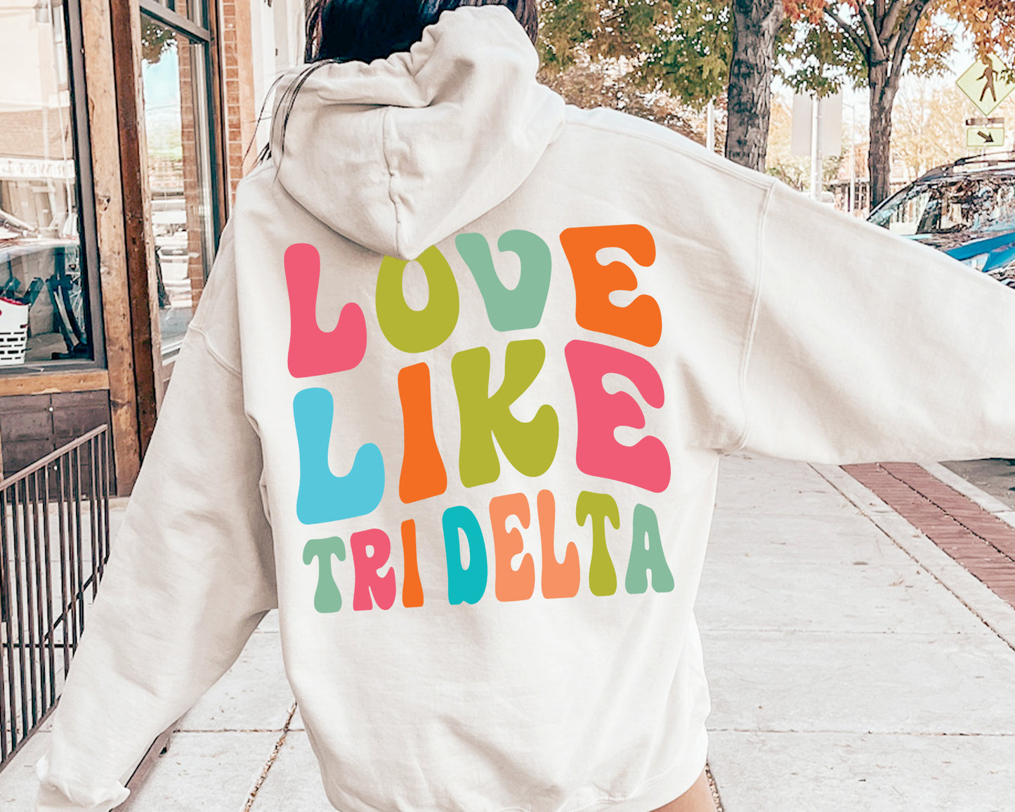 Delta Delta Delta Blissful and Vibrant Sorority Hoodie _ 33164g