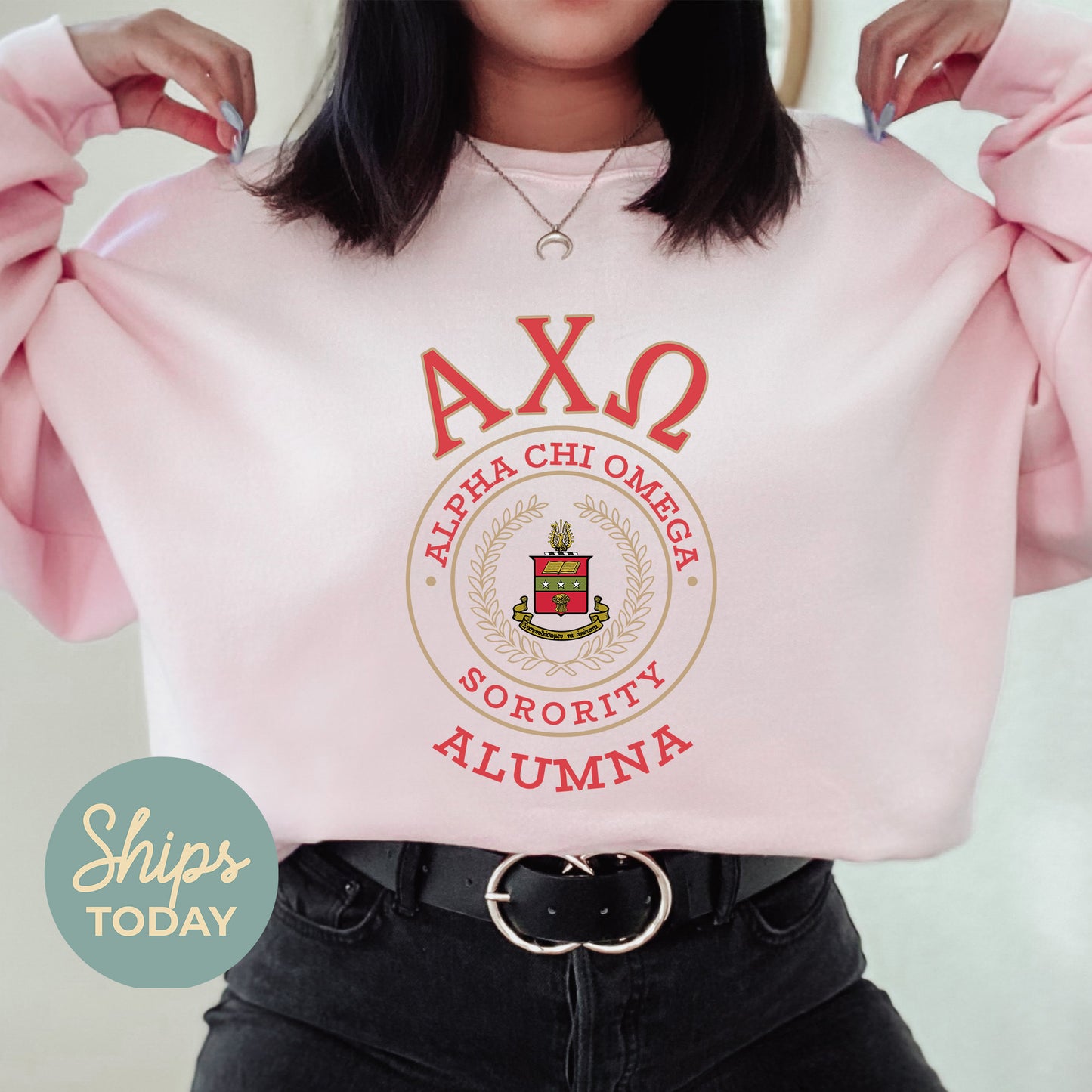 Alpha Chi Omega Alumna Vintage Sorority Sweatshirt _ 31009g