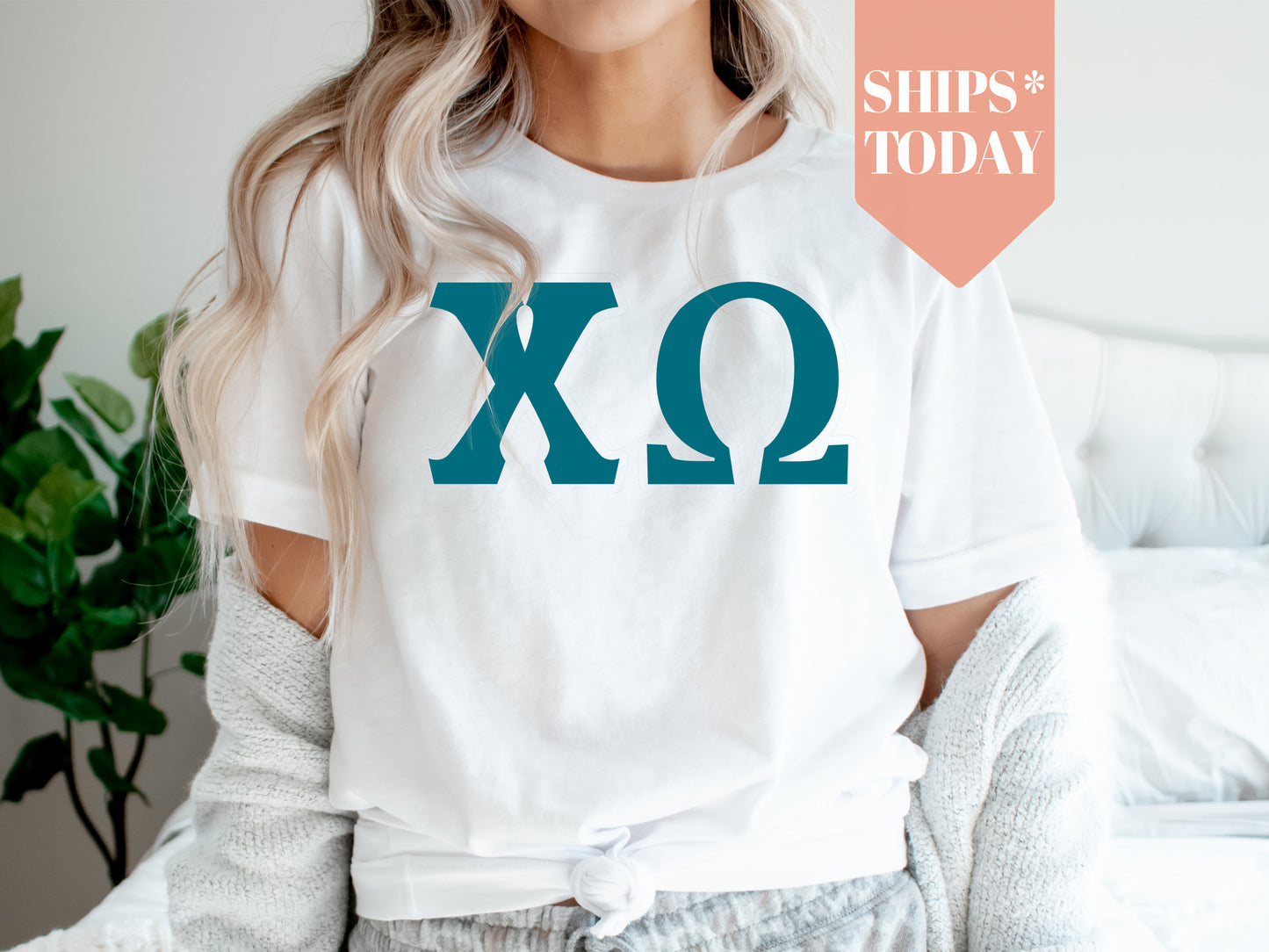 Chi Omega Back to the Basics Sorority T-shirt _ 631g