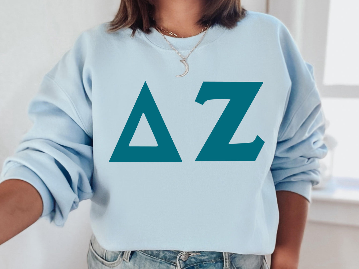 Delta Zeta Back to the Basics Sorority Sweatshirt _ 635g