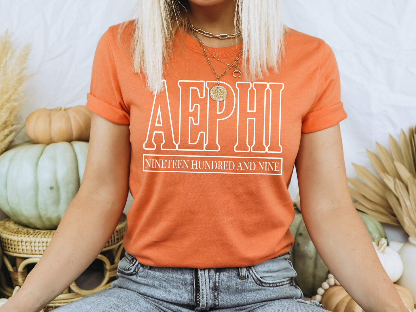 Alpha Epsilon Phi Stencil Stacked Sorority T-shirt _ 2136g