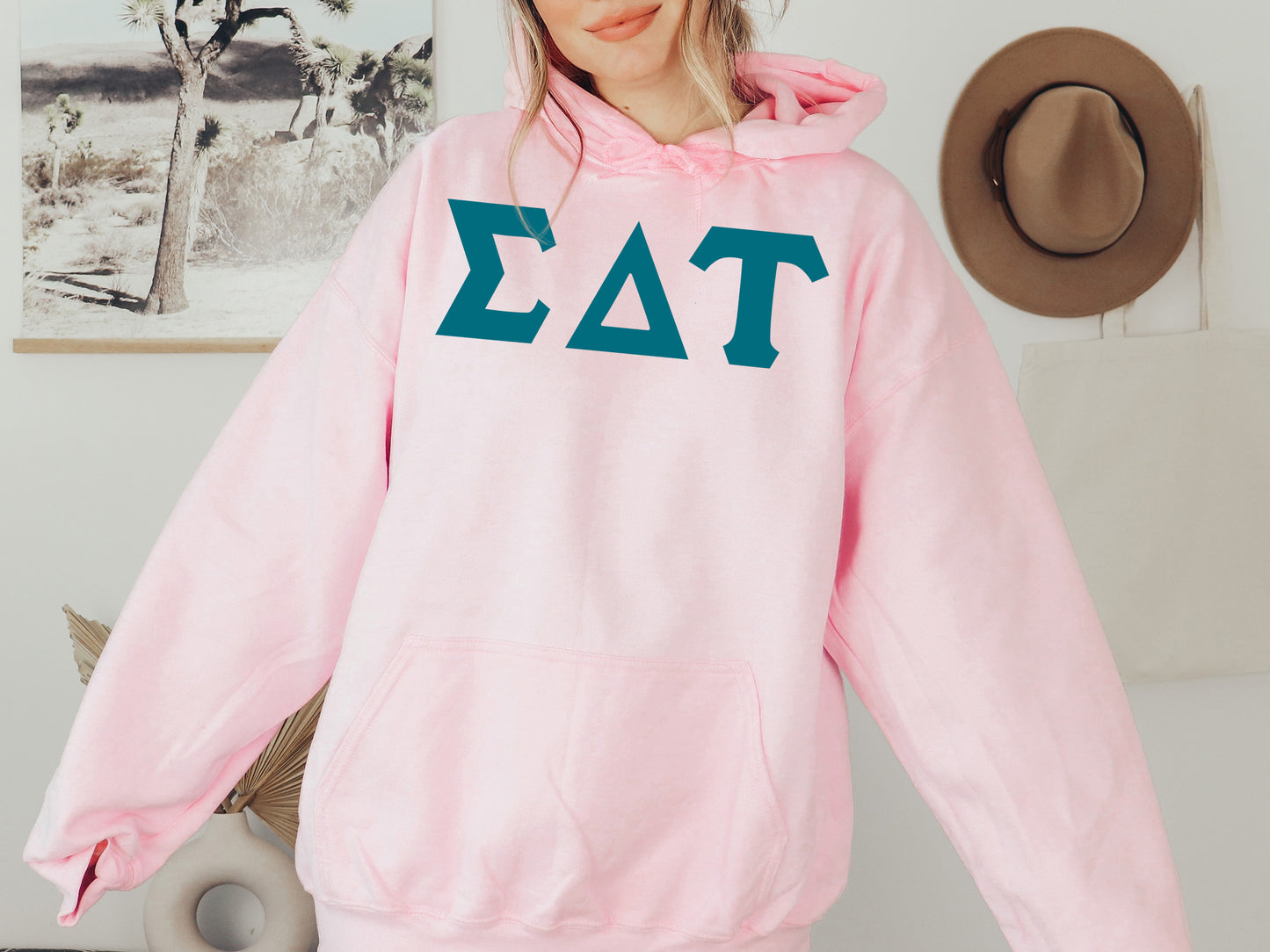 Sigma Delta Tau Back to the Basics Sorority Hoodie _ 643g