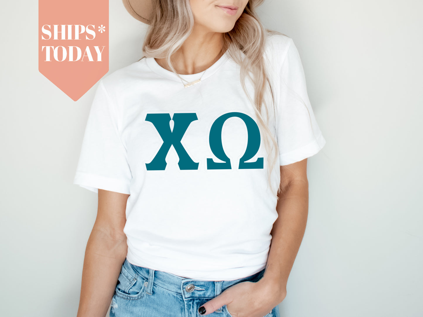 Chi Omega Back to the Basics Sorority T-shirt _ 631g