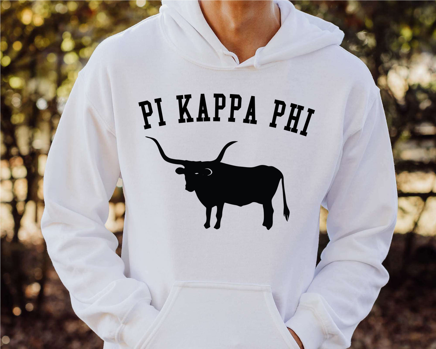 Pi Kappa Phi Long Horn Fraternity Hoodie _ 1543g