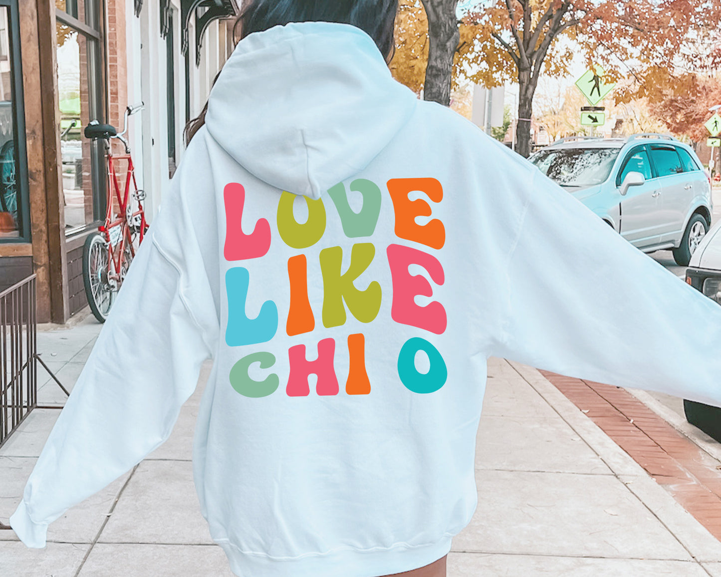 Chi Omega Blissful and Vibrant Sorority Hoodie _ 33163g