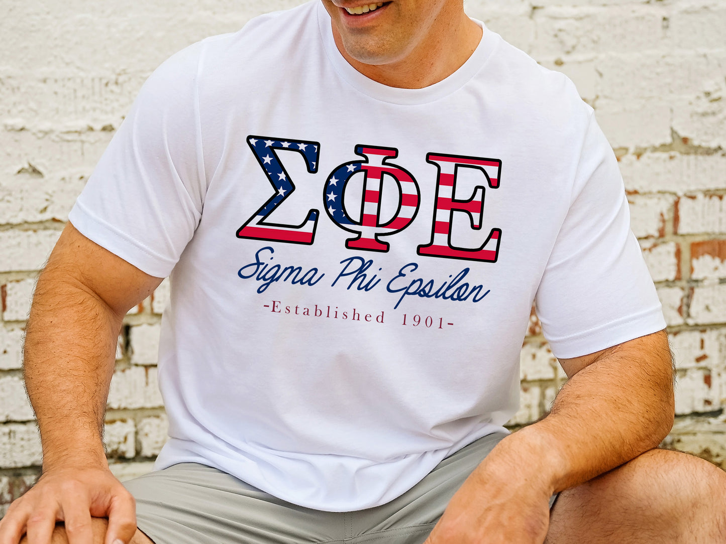 Sigma Phi Epsilon American Flag Letters Fraternity T-shirt _ 1177g