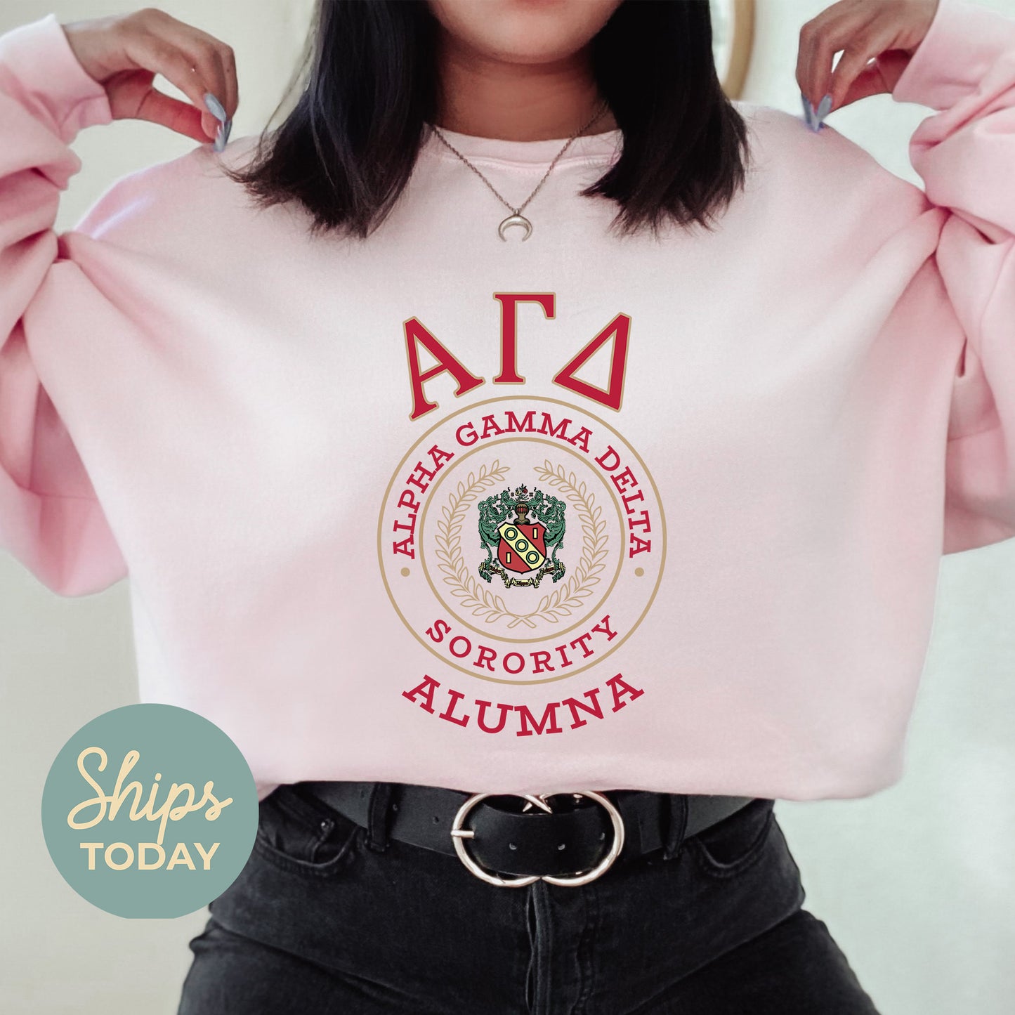 Alpha Gamma Delta Alumna Vintage Sorority Sweatshirt _ 31012g