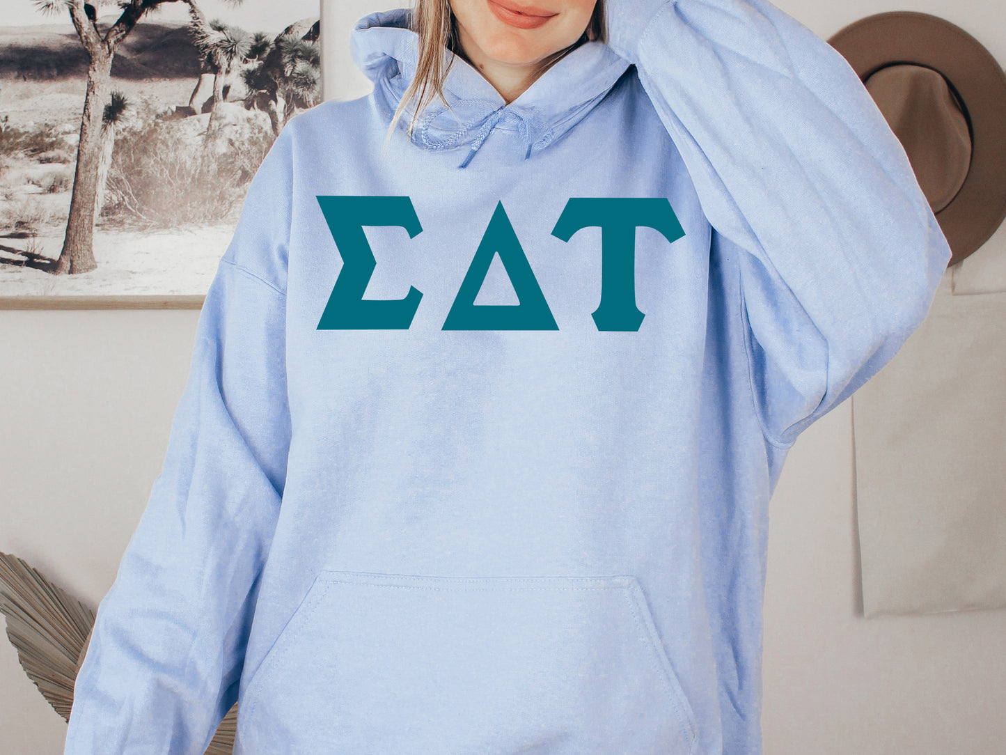 Sigma Delta Tau Back to the Basics Sorority Hoodie _ 643g