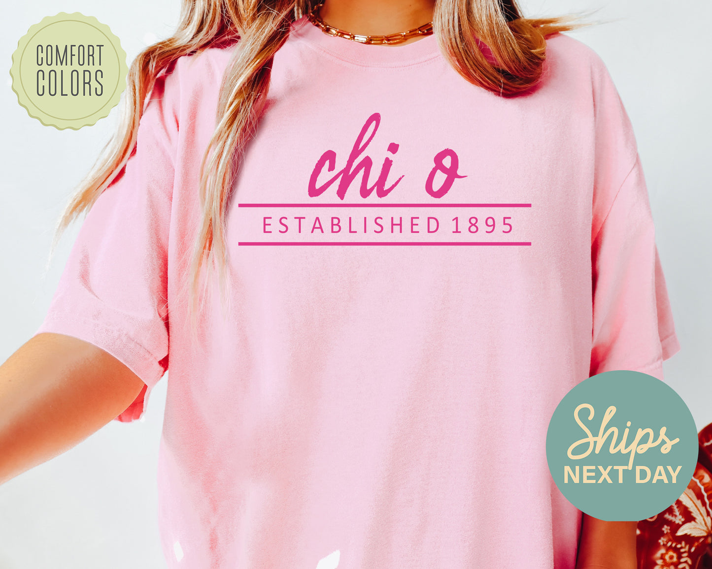 Chi Omega All Pink Comfort Colors Sorority T-shirt _ 761g