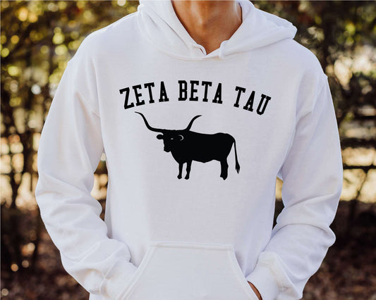 Zeta Beta Tau Long Horn Fraternity Hoodie _ 1553g