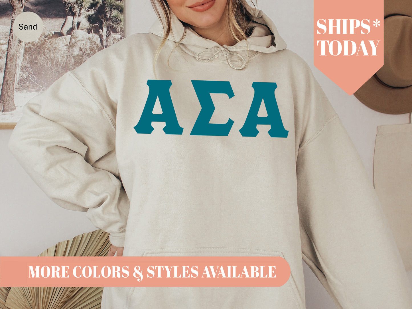 Alpha Sigma Alpha Back to the Basics Sorority Hoodie _ 628g