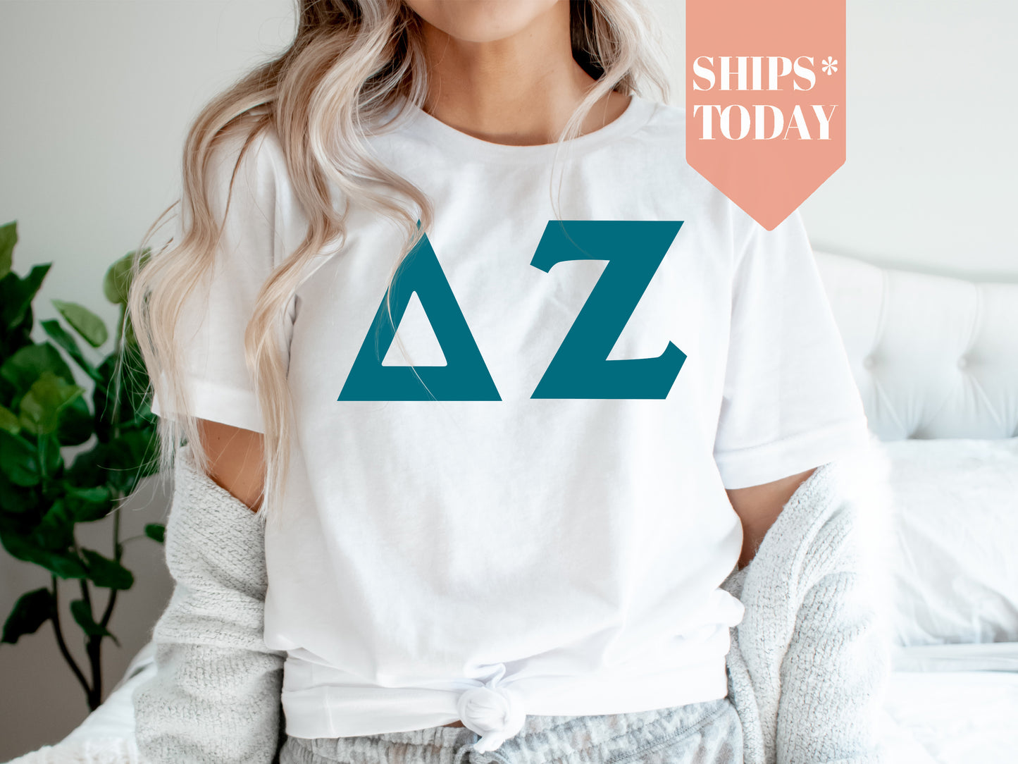 Delta Zeta Back to the Basics Sorority T-shirt _ 635g