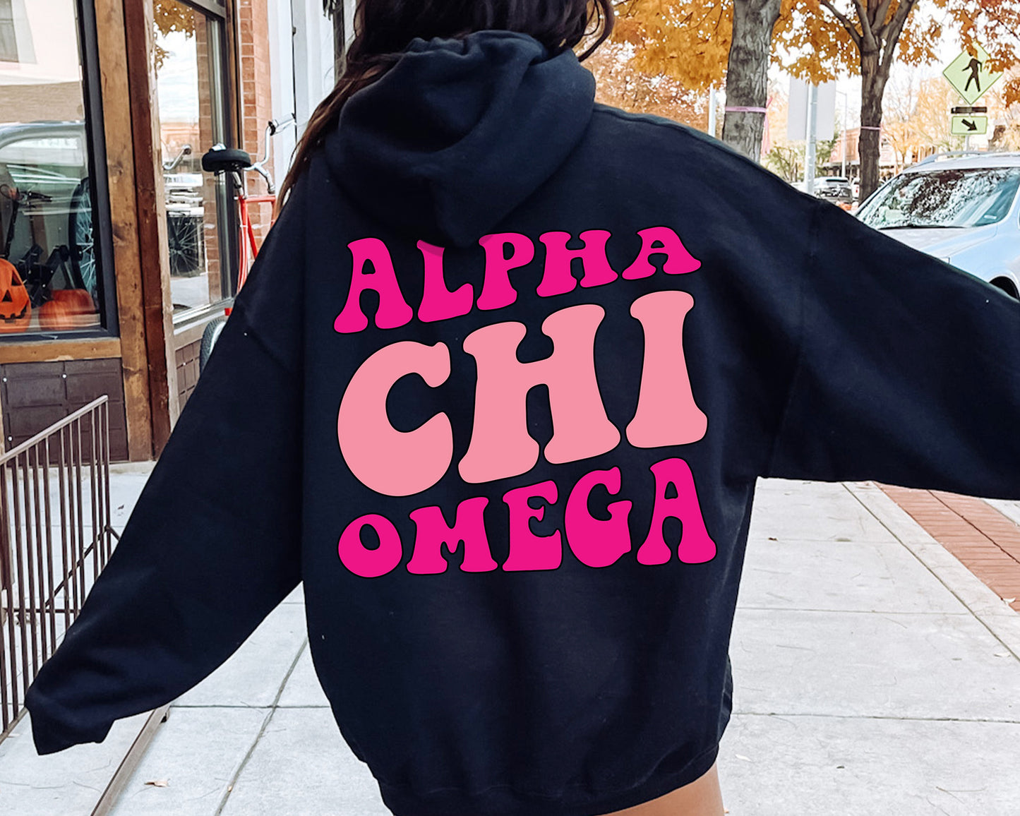 Alpha Chi Omega Shades of Pink Sorority Hoodie _ 32972g