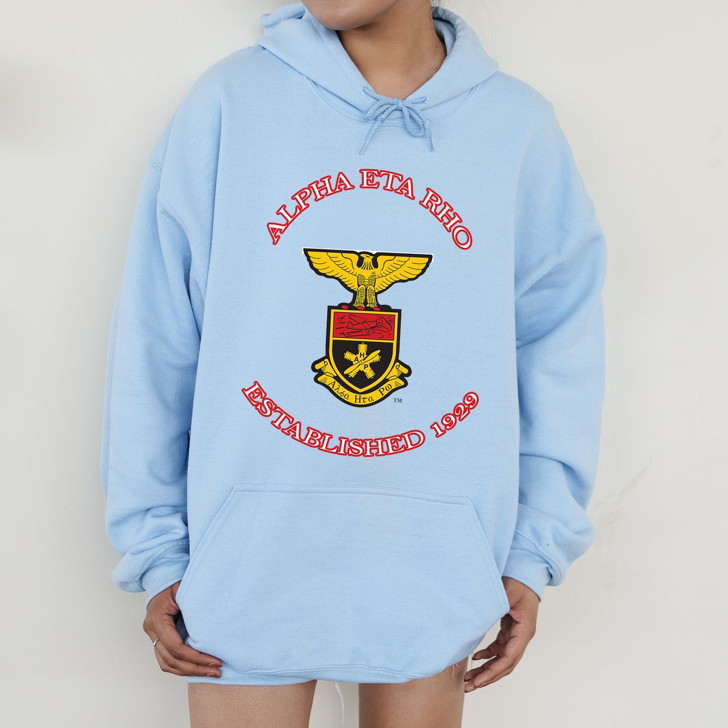 Alpha Eta Rho Iconic Insignia COED Hoodie _ 35663g
