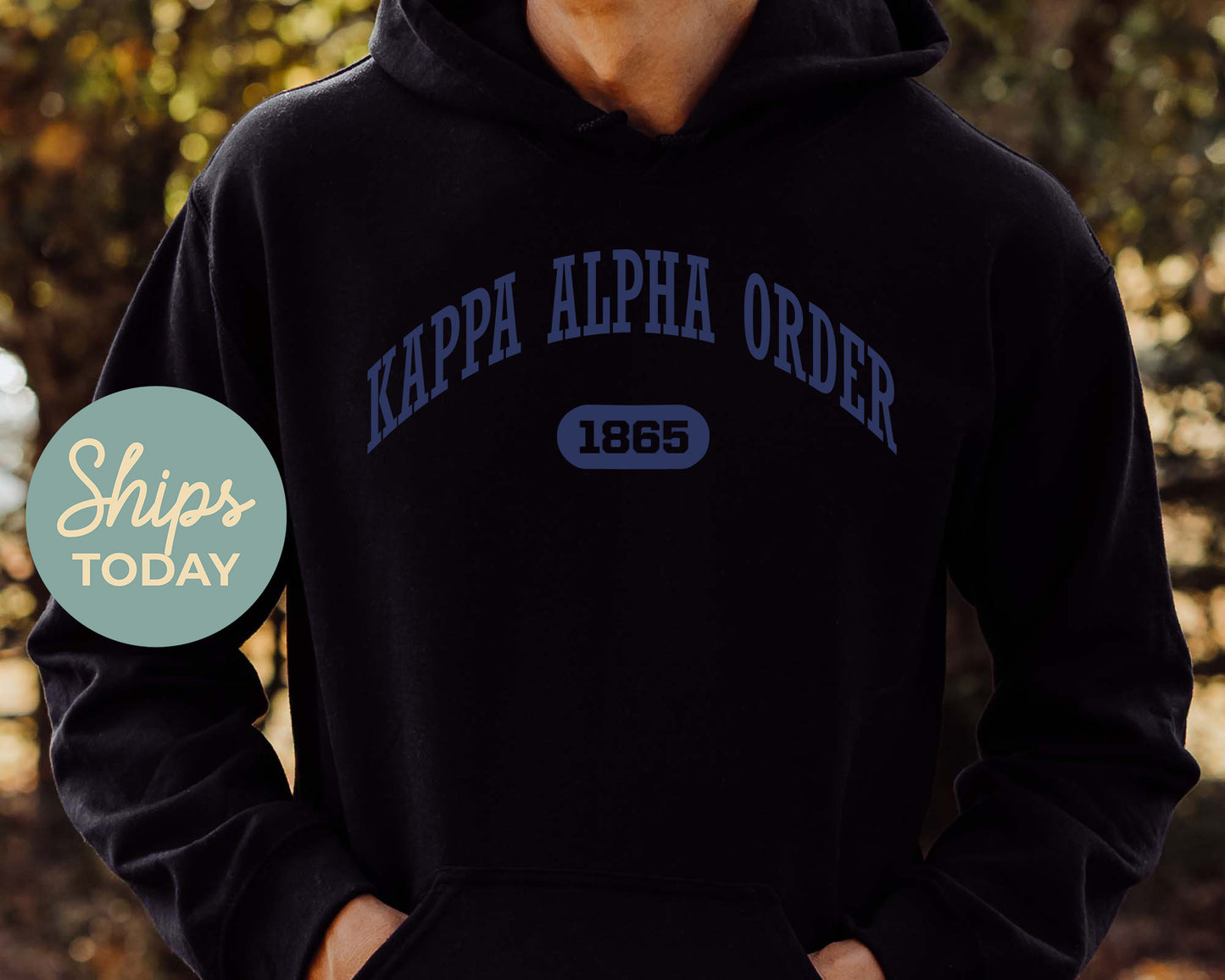 Kappa Alpha Order Fraternal Arch Fraternity Hoodie _ 919g