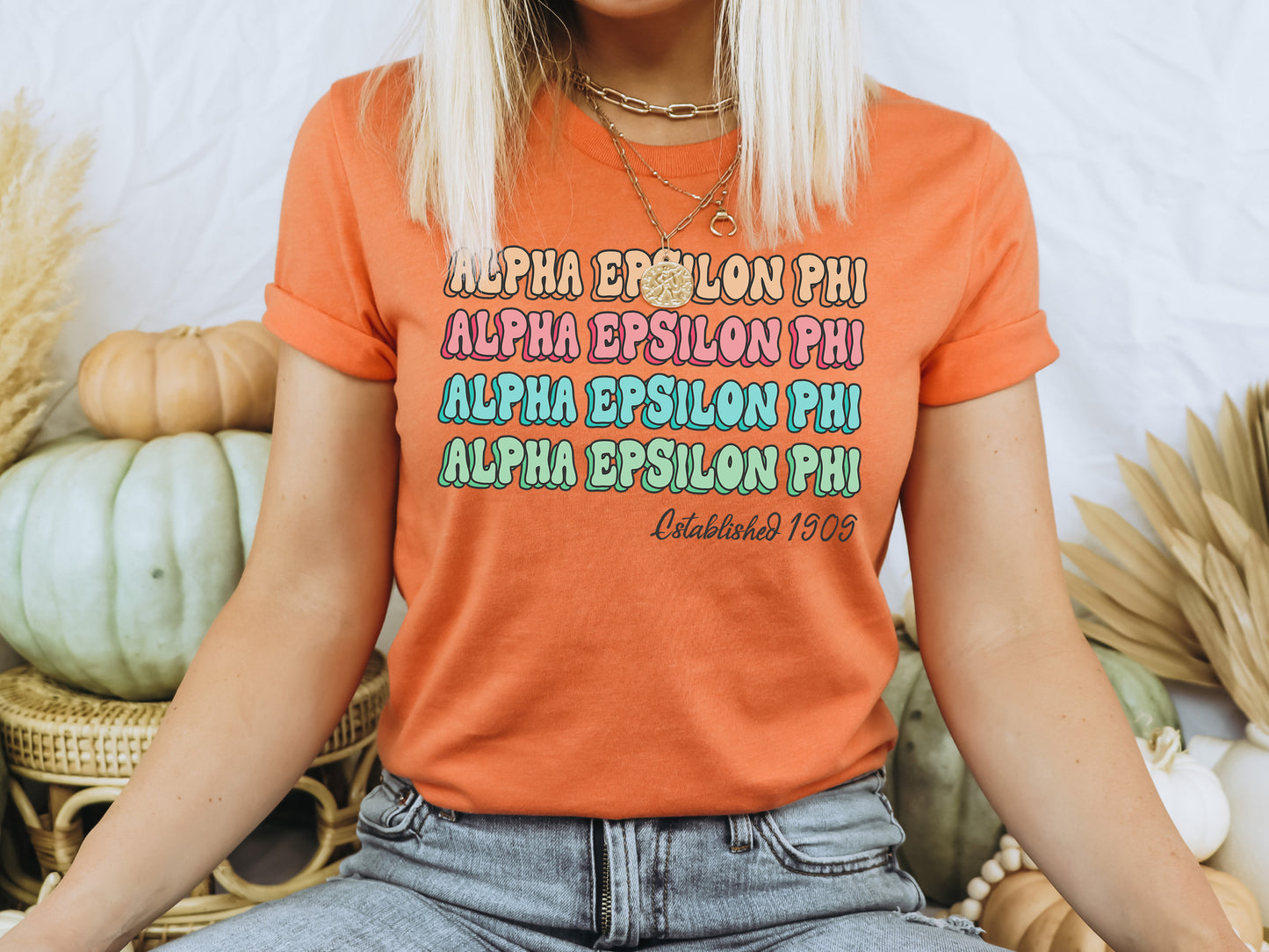 Alpha Epsilon Phi Lucy Sorority T-shirt _ 260g