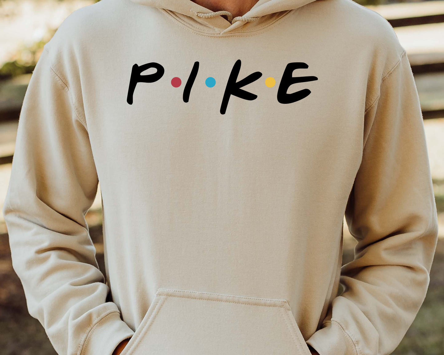 Pi Kappa Alpha Greek Friends Fraternity Hoodie _ 30690g