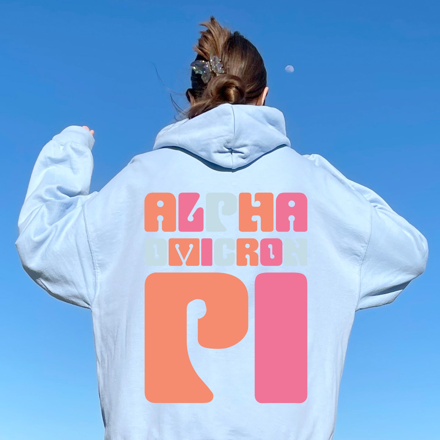 Alpha Omicron Pi Vibrant Verve Sorority Hoodie _ 32605g