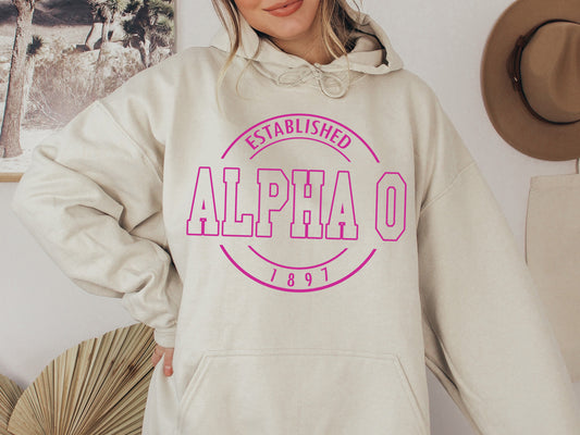 Alpha Omicron Pi Pink Stamp Sorority Hoodie _ 55g