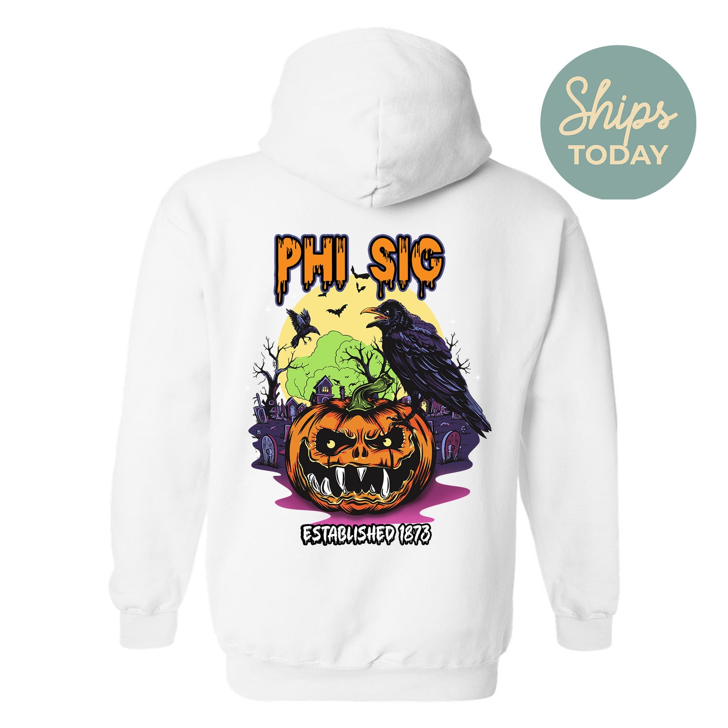 Phi Sigma Kappa Halloween Bats Fraternity Hoodie _ 36269g