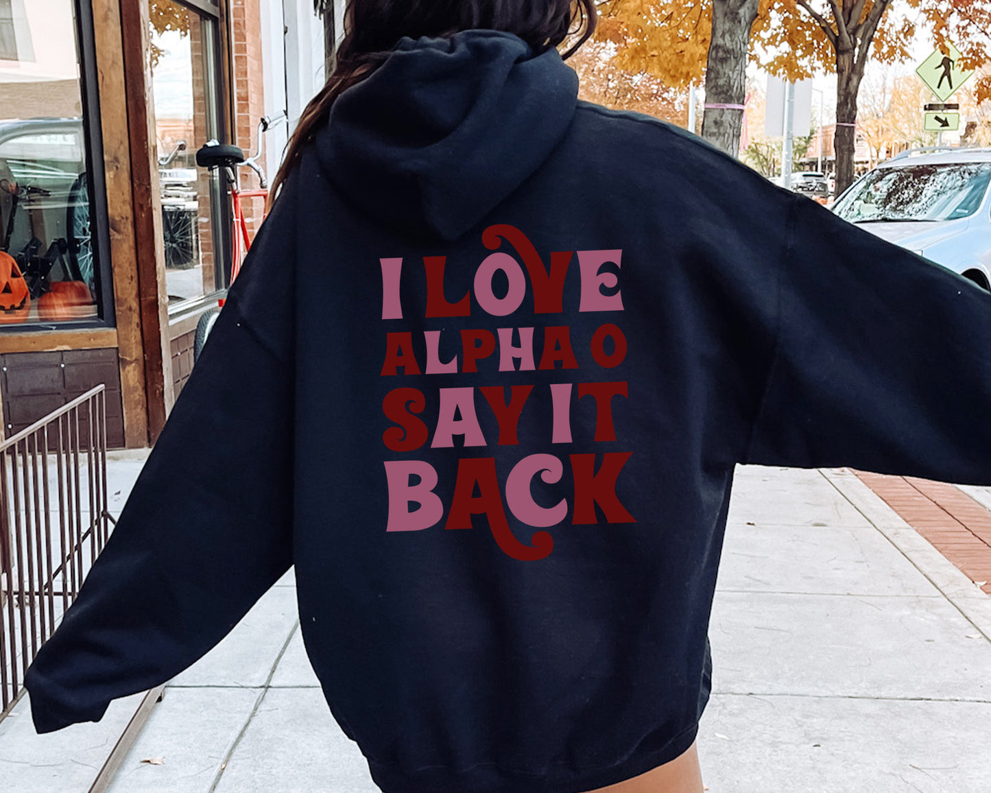 Alpha Omicron Pi Say it Back Sorority Hoodie _ 33376g