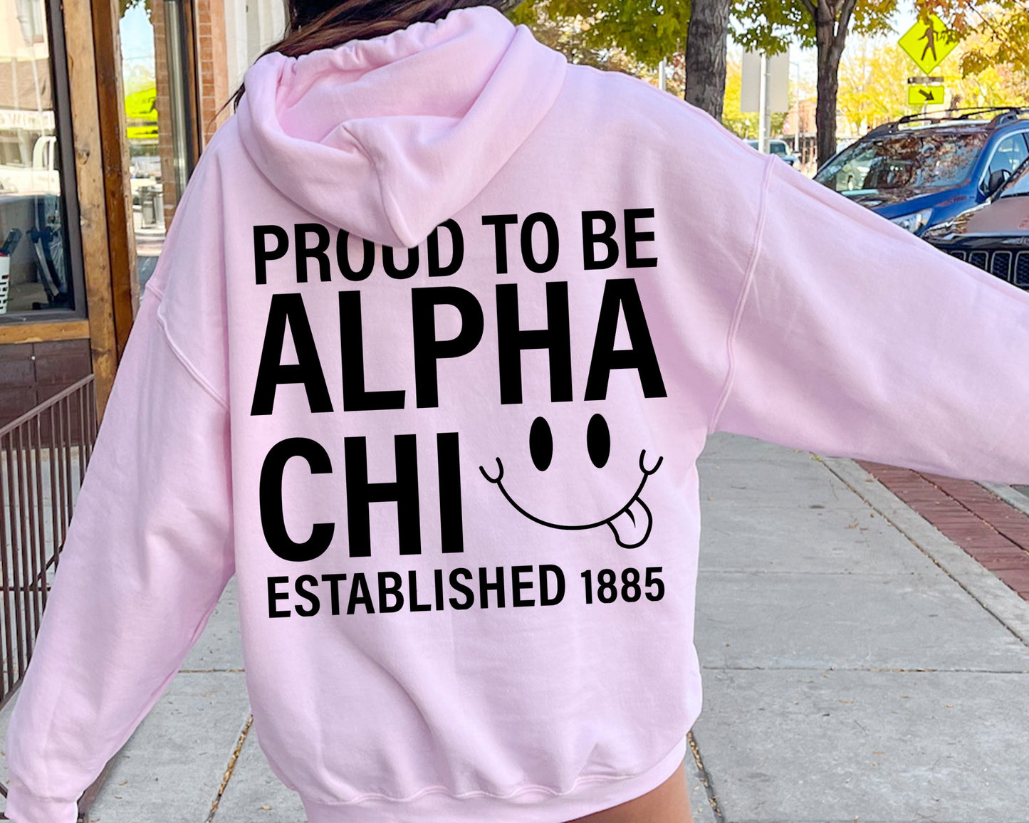 Alpha Chi Omega Proud to Be Sorority Hoodie _ 33128g
