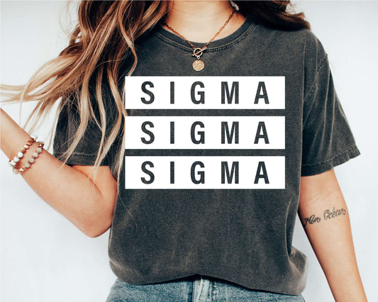 Sigma Sigma Sigma Faded White Box Sorority T-shirt _ 3356g