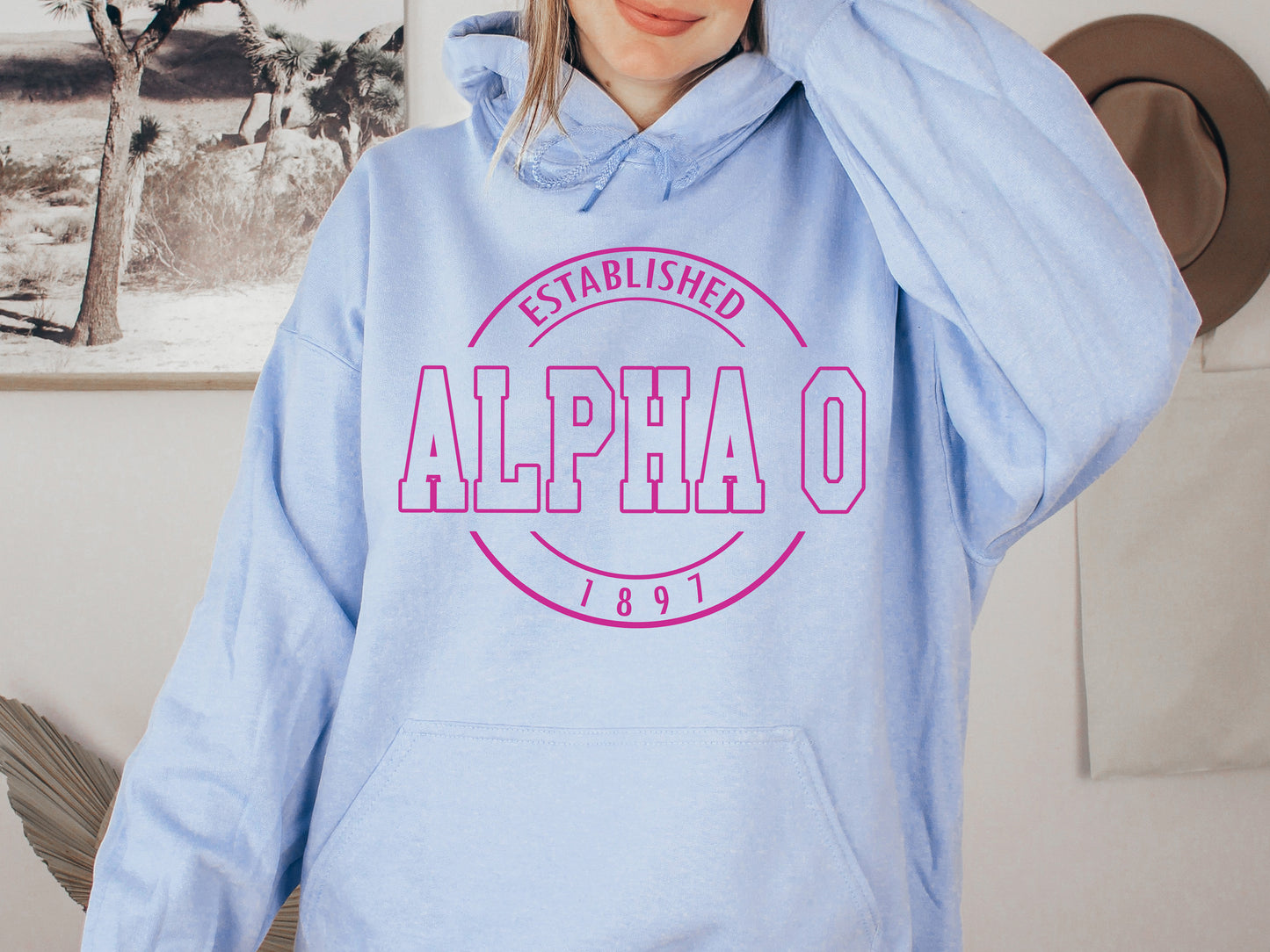Alpha Omicron Pi Pink Stamp Sorority Hoodie _ 55g