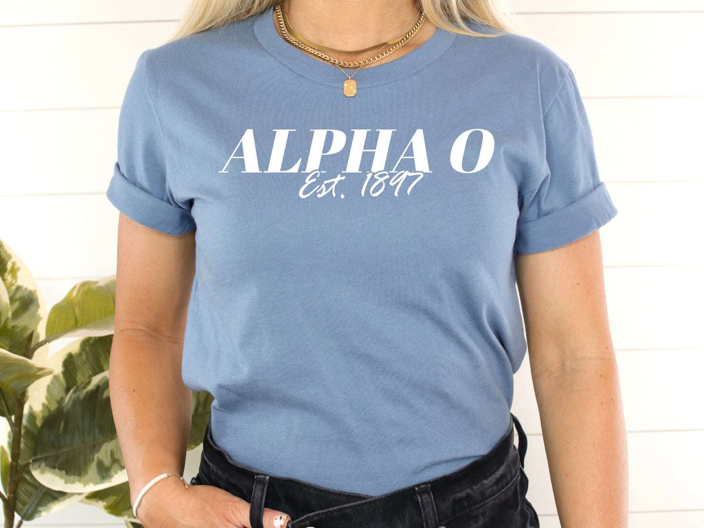Alpha Omicron Pi Mom Sorority T-shirt _ 30821g