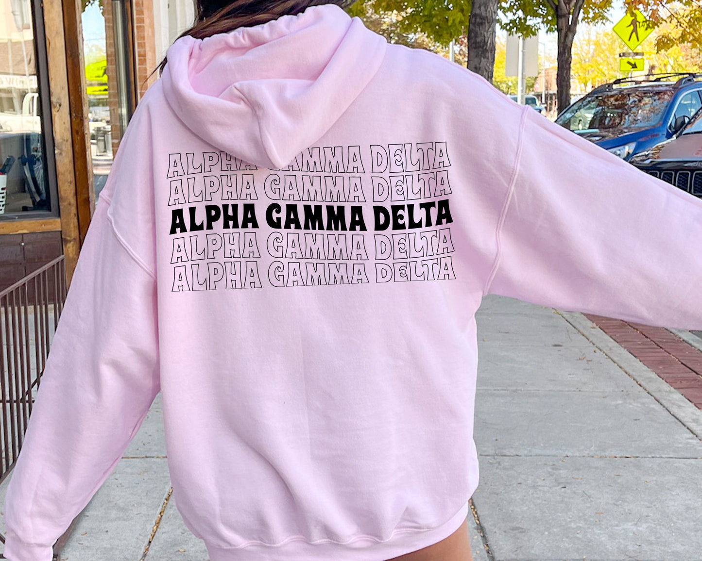 Alpha Gamma Delta Wavy Letters Sorority Hoodie _ 33401g
