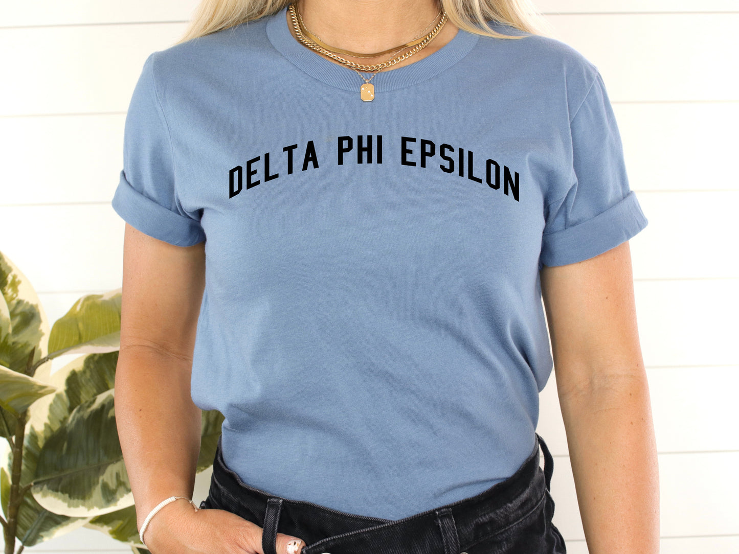Delta Phi Epsilon Just Bold Sorority T-shirt _ 2381g