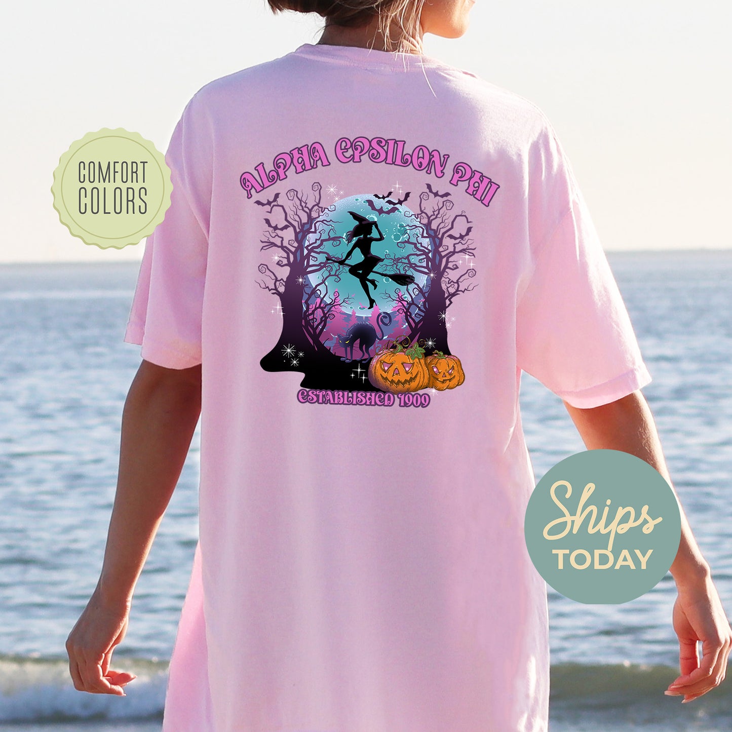 Alpha Epsilon Phi Halloween Witch Comfort Colors Sorority T-shirt _ 36228g