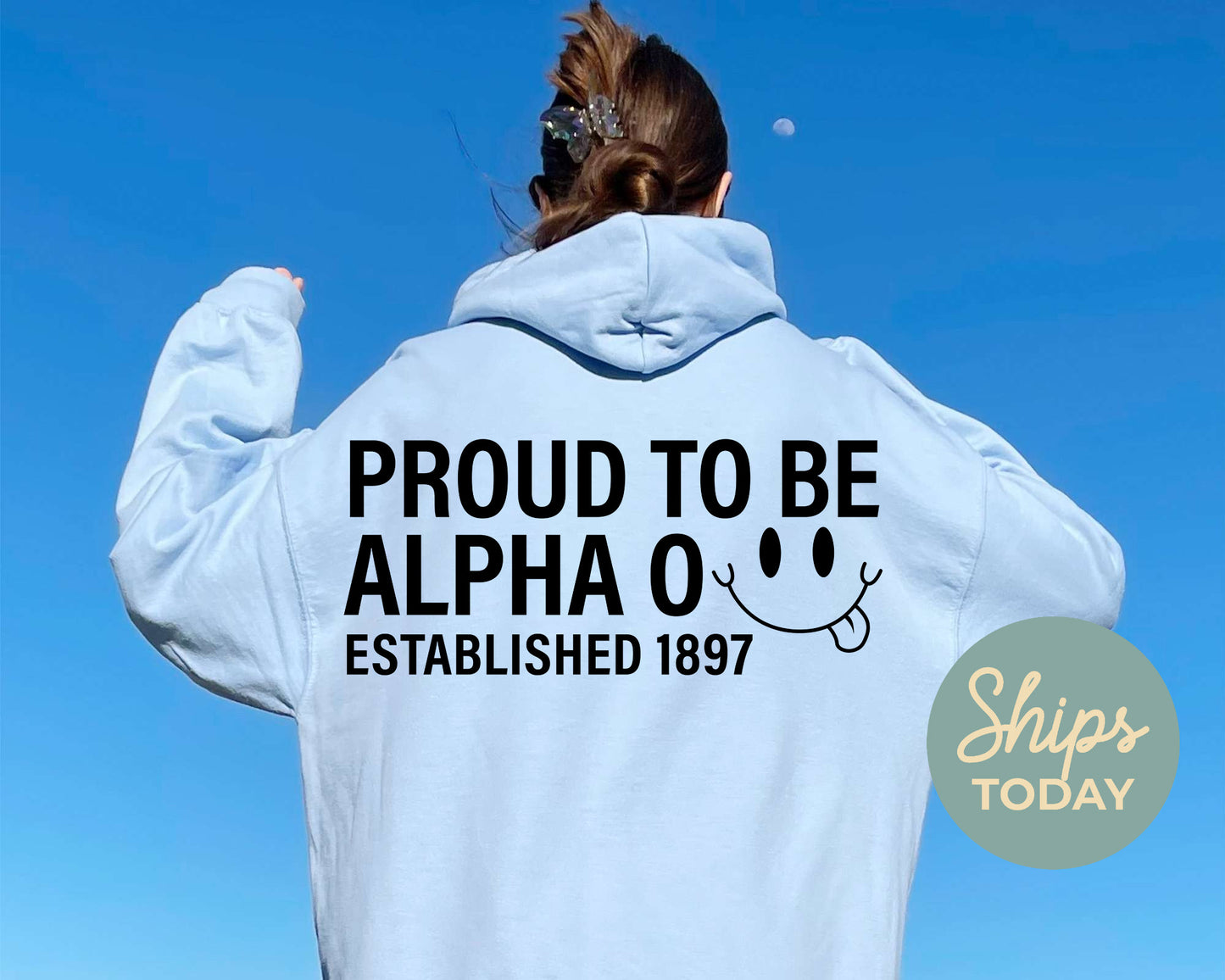 Alpha Omicron Pi Proud to Be Sorority Hoodie _ 33132g
