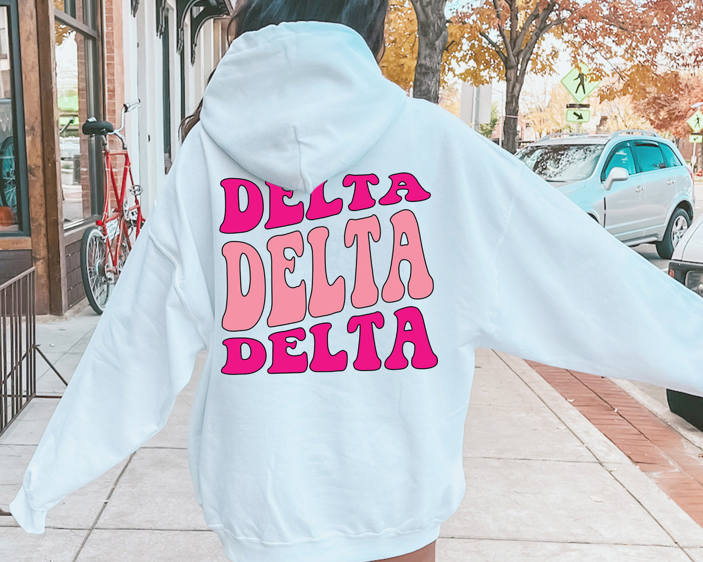 Delta Delta Delta Shades of Pink Sorority Hoodie _ 32982g
