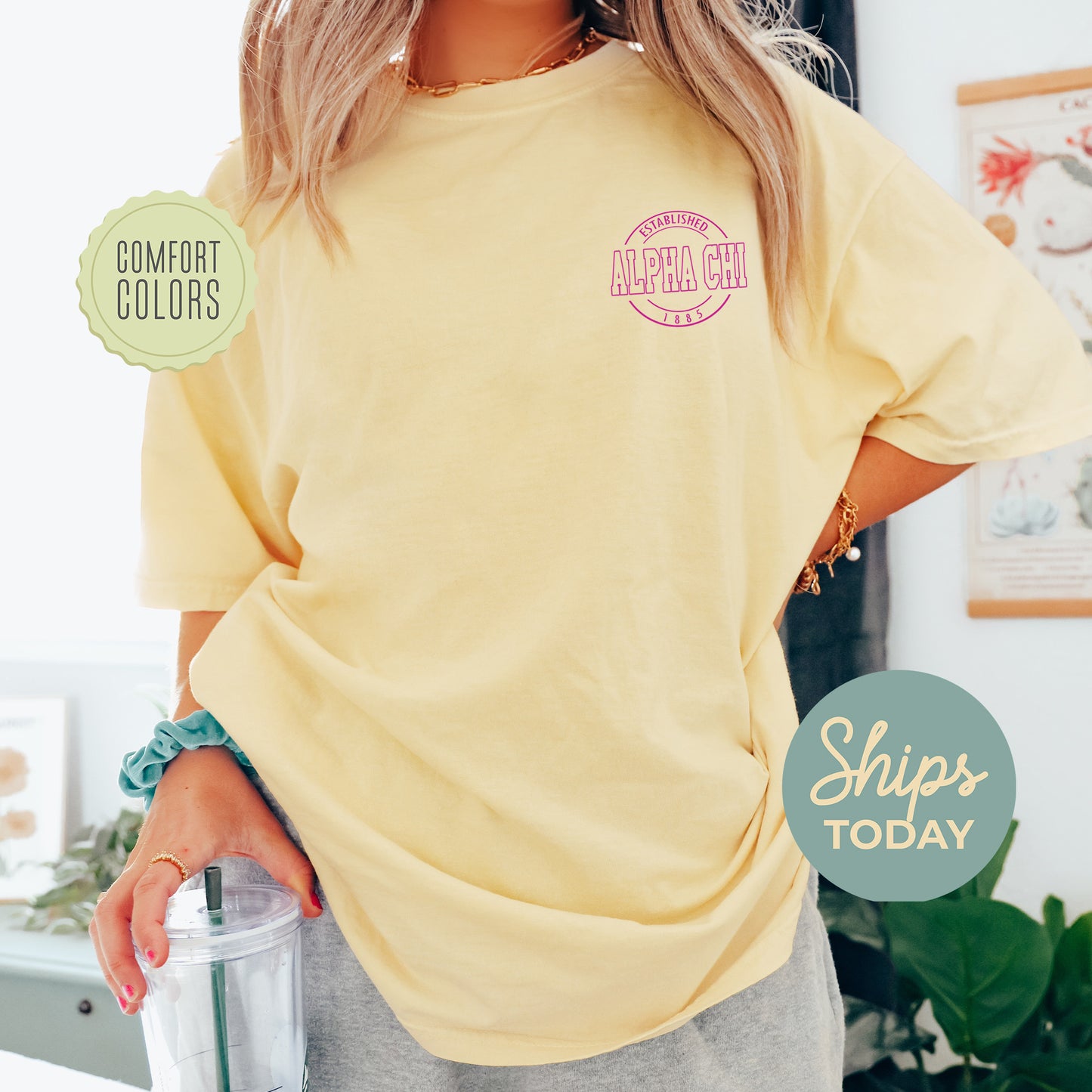Alpha Chi Omega Stamped Comfort Colors Sorority T-shirt _ 39112g