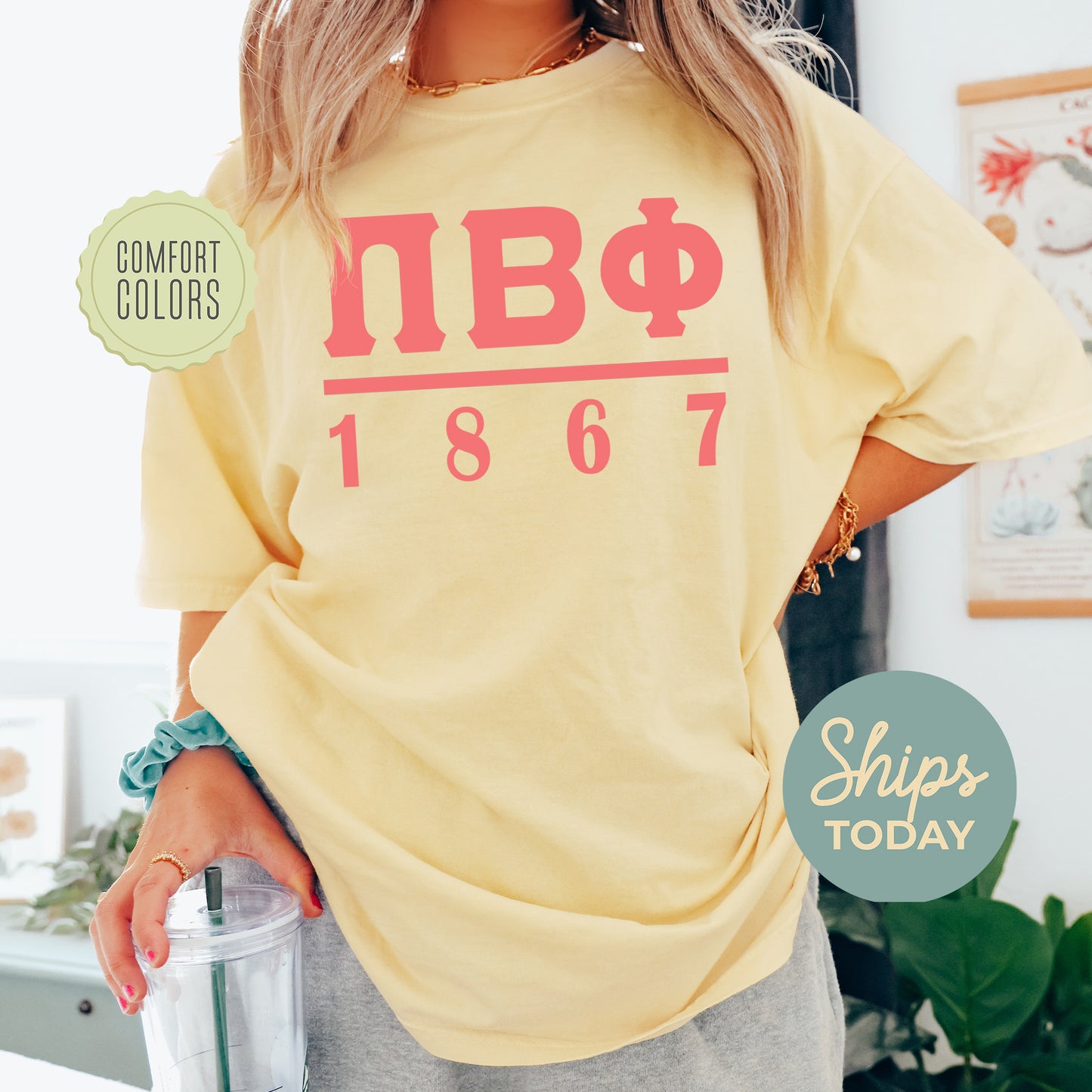 Pi Beta Phi Monochromatic Comfort Colors Sorority T-shirt _ 30863g