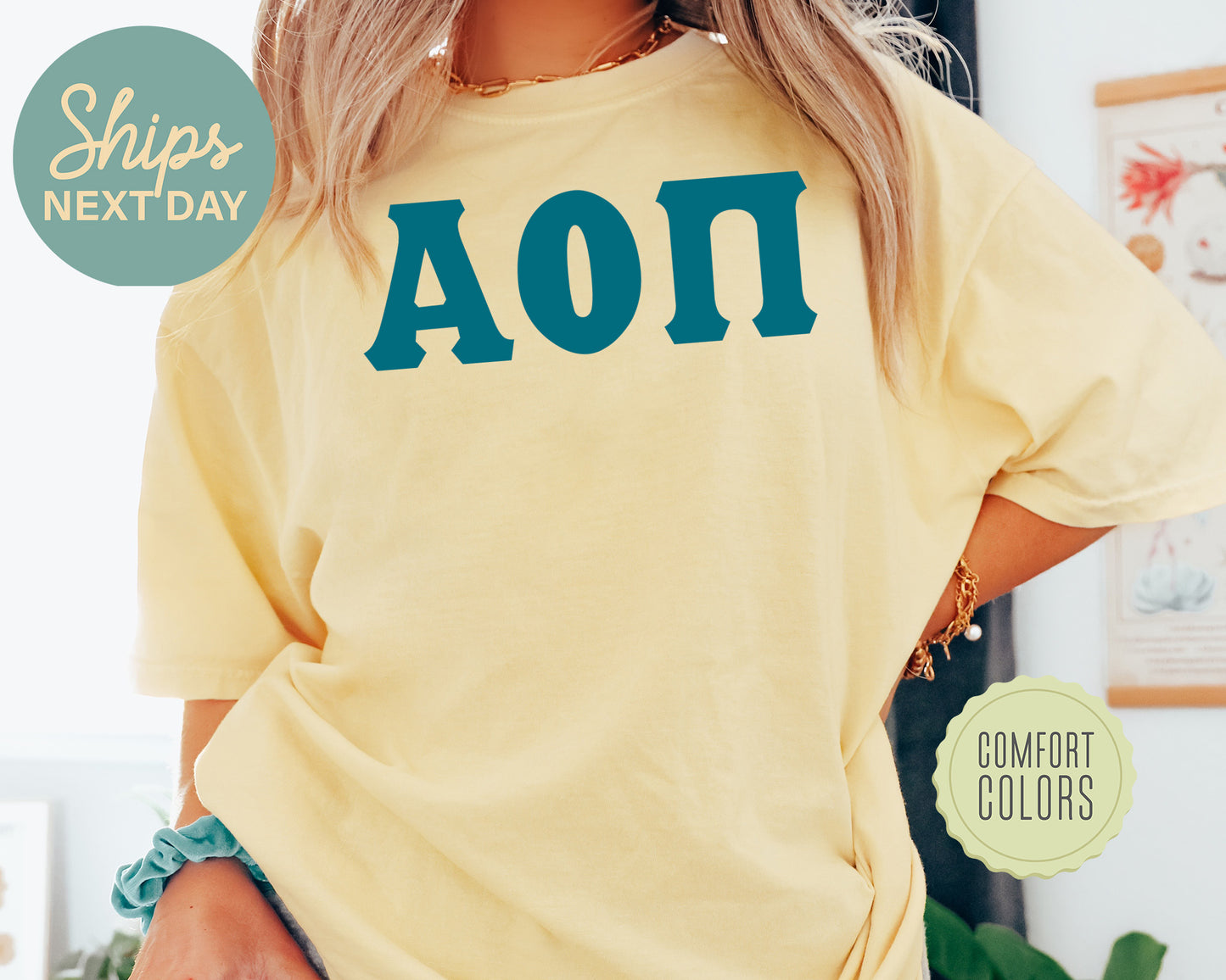 Alpha Omicron Pi Back to the Basics Comfort Colors Sorority T-shirt _ 626g
