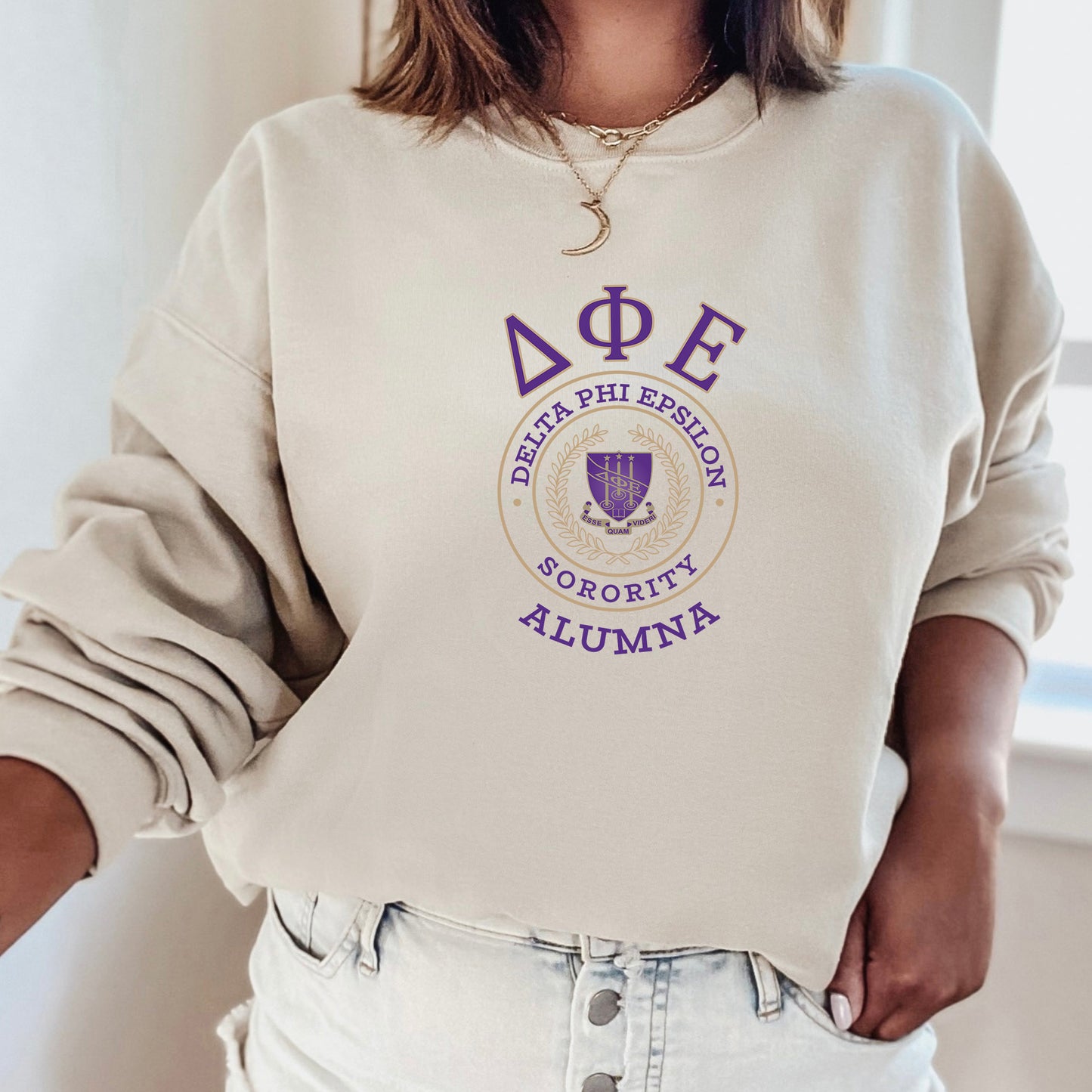 Delta Phi Epsilon Alumna Vintage Sorority Sweatshirt _ 31021g