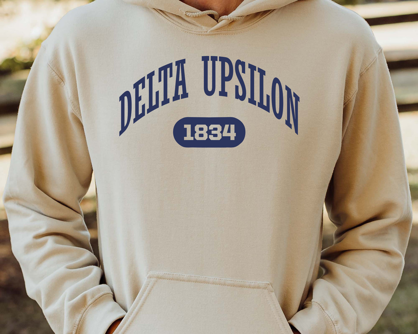 Delta Upsilon Fraternal Arch Fraternity Hoodie _ 917g