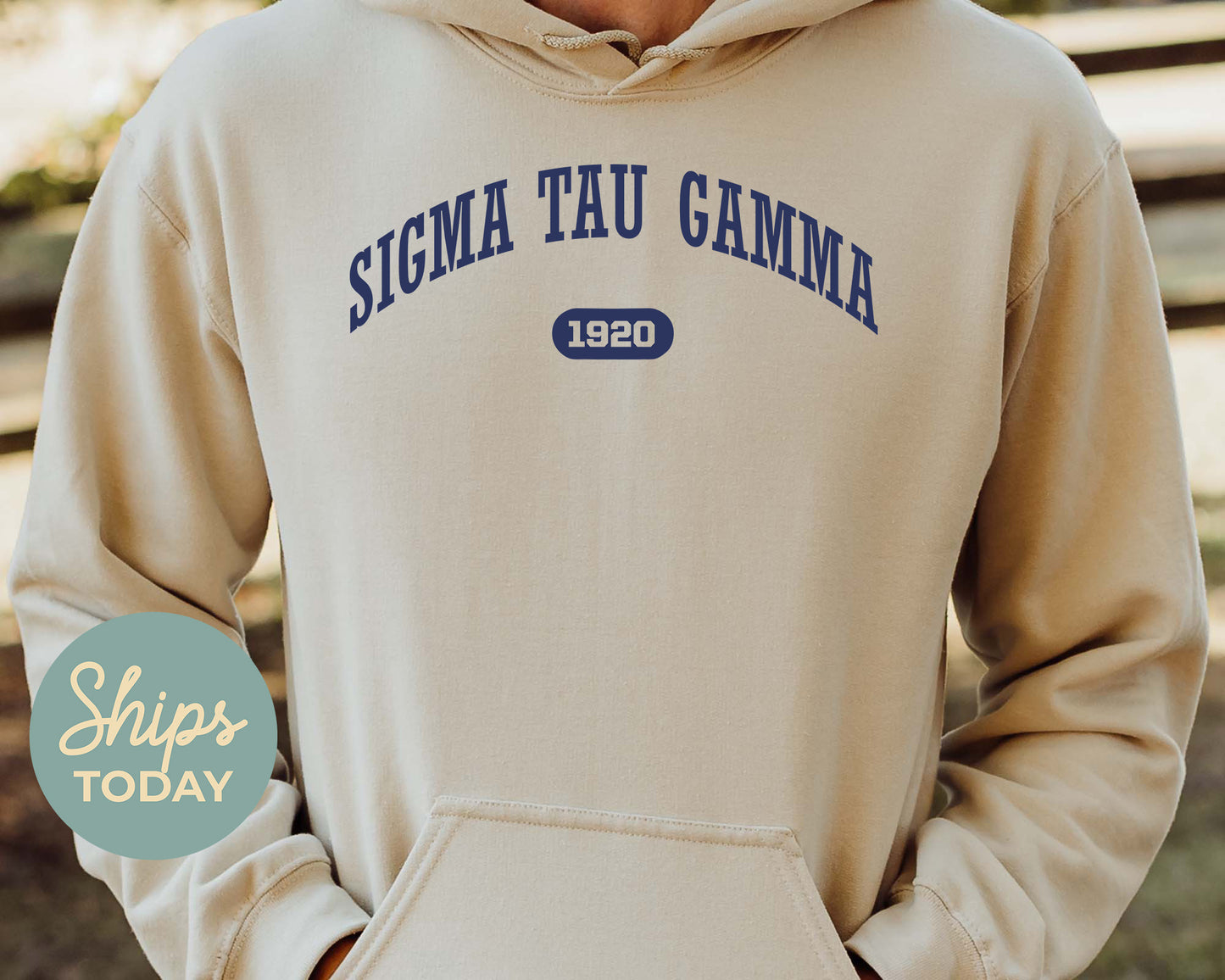 Sigma Tau Gamma Fraternal Arch Fraternity Hoodie _ 934g