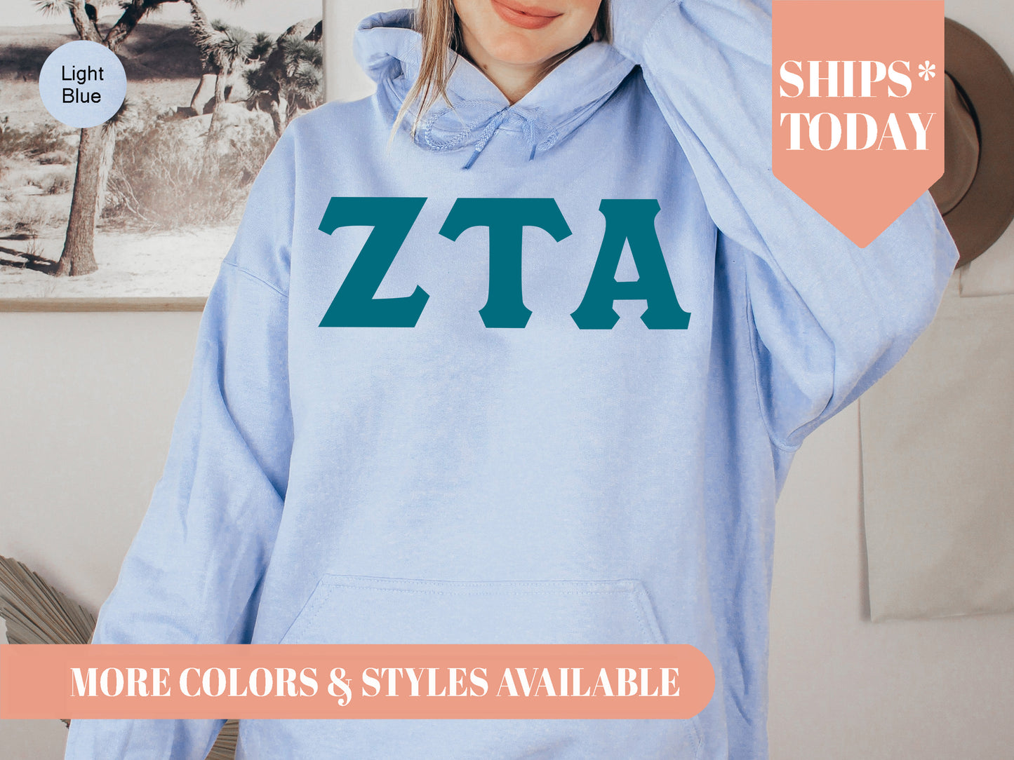 Zeta Tau Alpha Back to the Basics Sorority Hoodie _ 647g