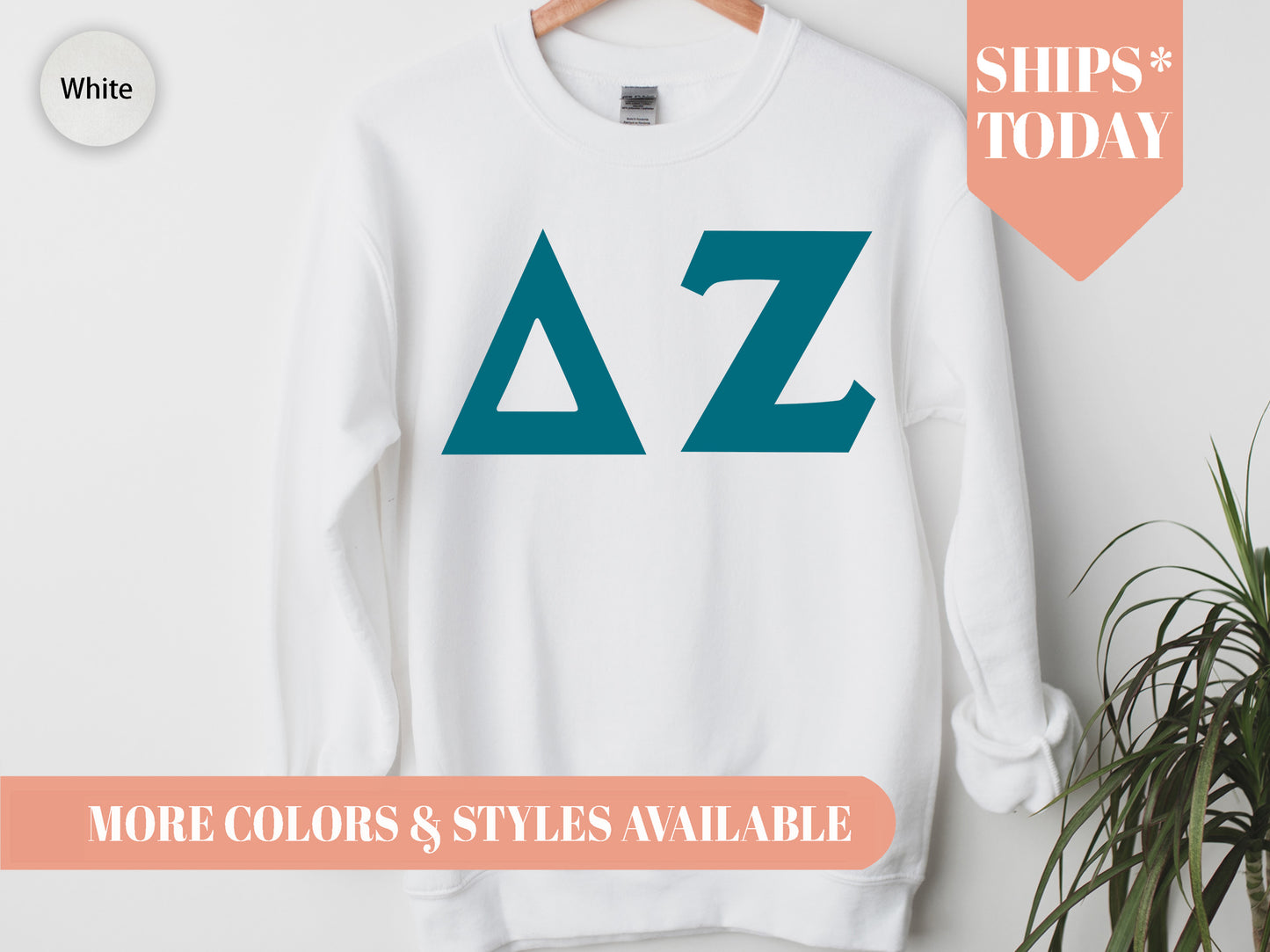 Delta Zeta Back to the Basics Sorority Sweatshirt _ 635g