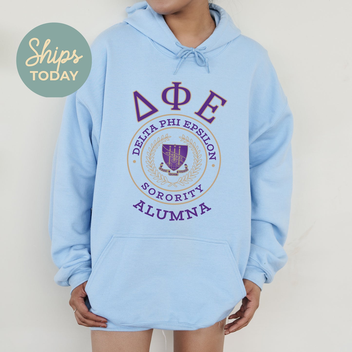 Delta Phi Epsilon Alumna Vintage Sorority Hoodie _ 31021g
