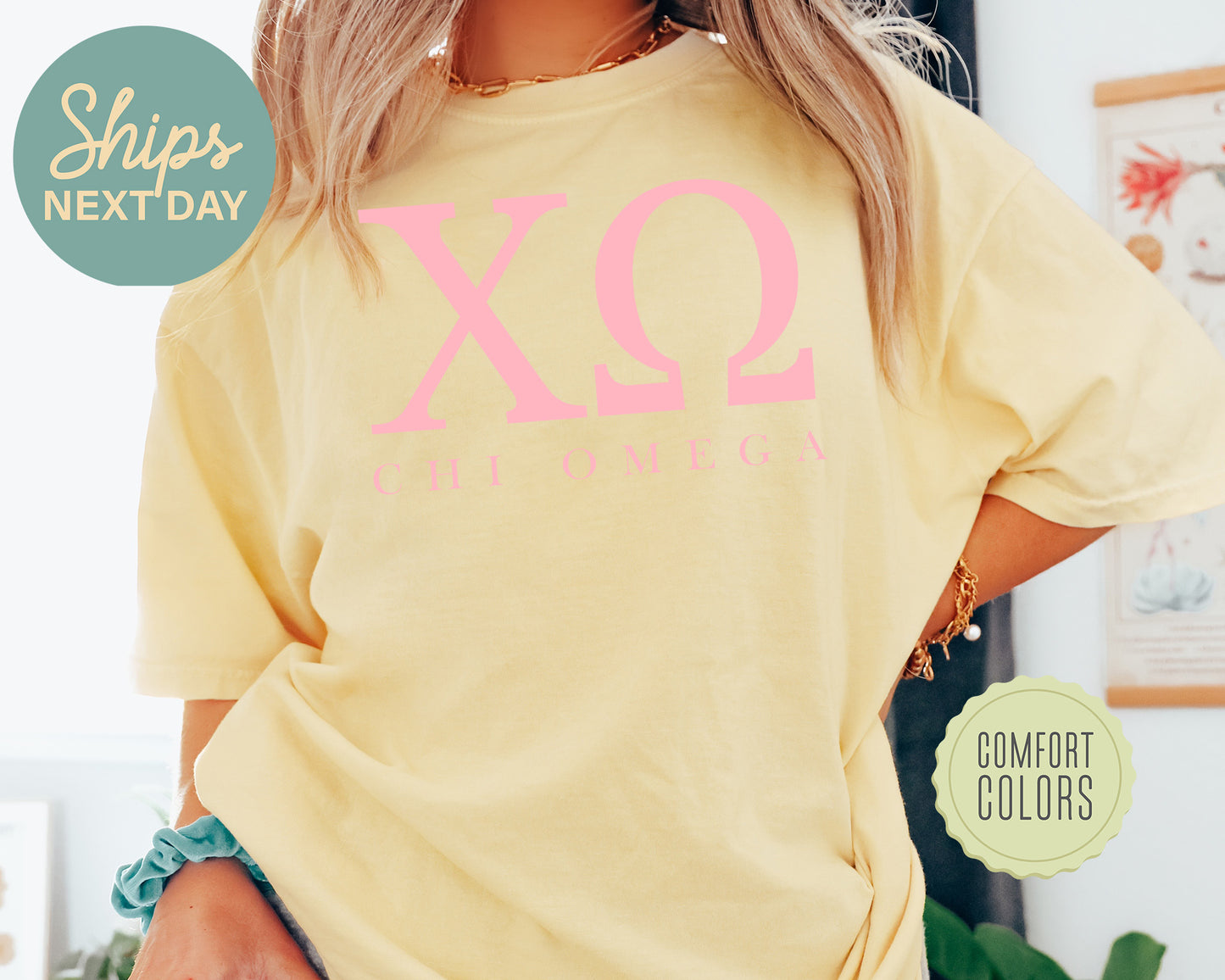 Chi Omega Everything Pink Comfort Colors Sorority T-shirt _ 319g