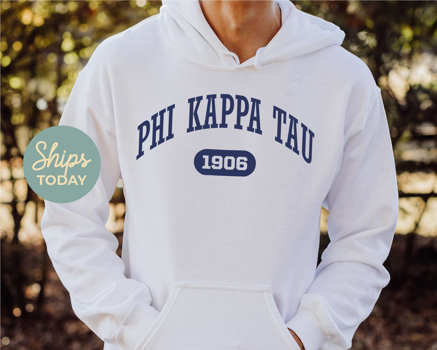 Phi Kappa Tau Fraternal Arch Fraternity Hoodie _ 924g