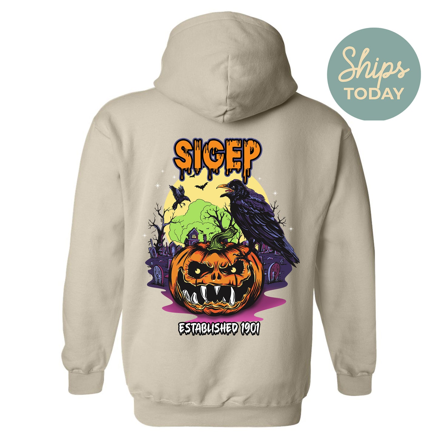 Sigma Phi Epsilon Halloween Bats Fraternity Hoodie _ 36276g