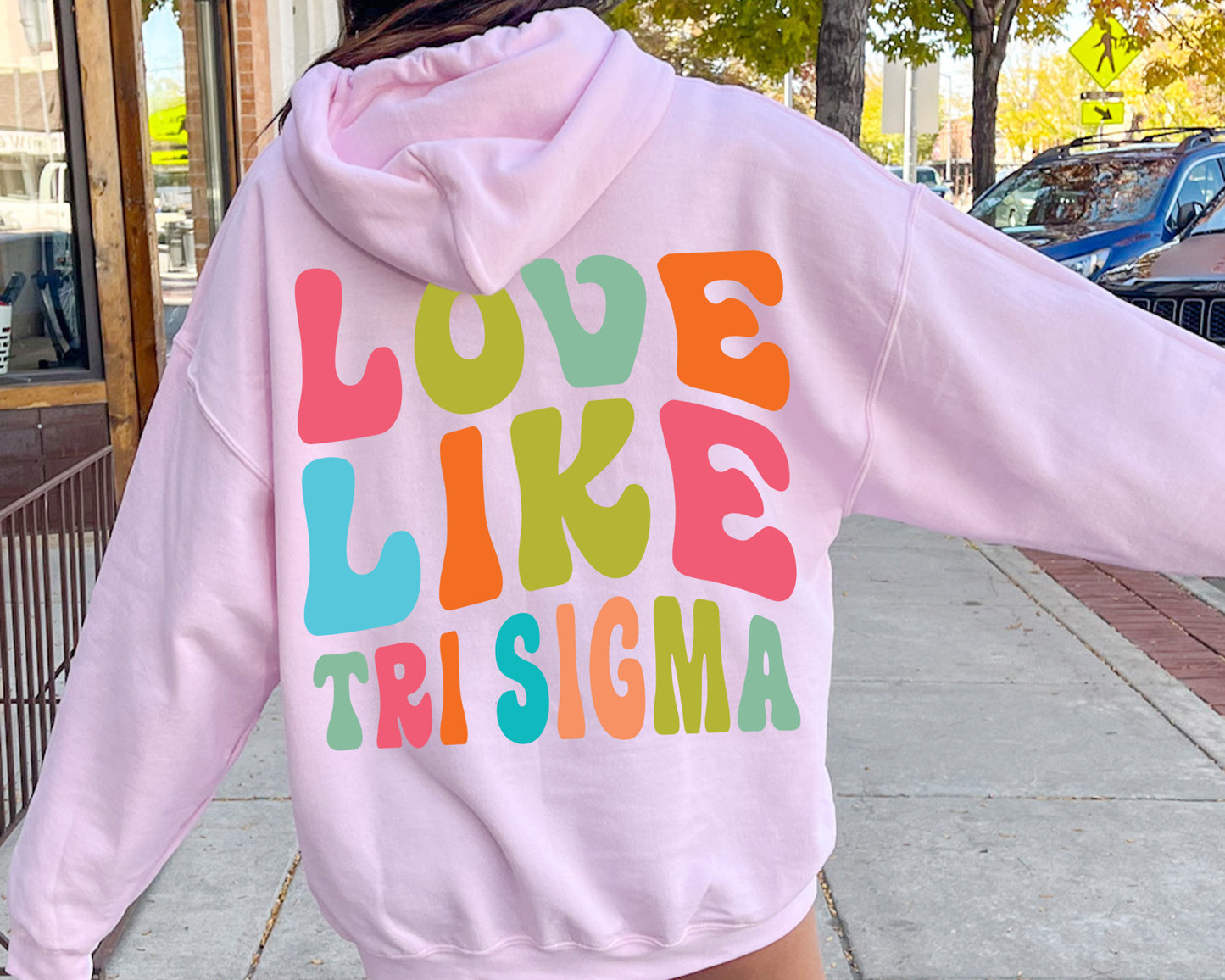 Sigma Sigma Sigma Blissful and Vibrant Sorority Hoodie _ 33177g