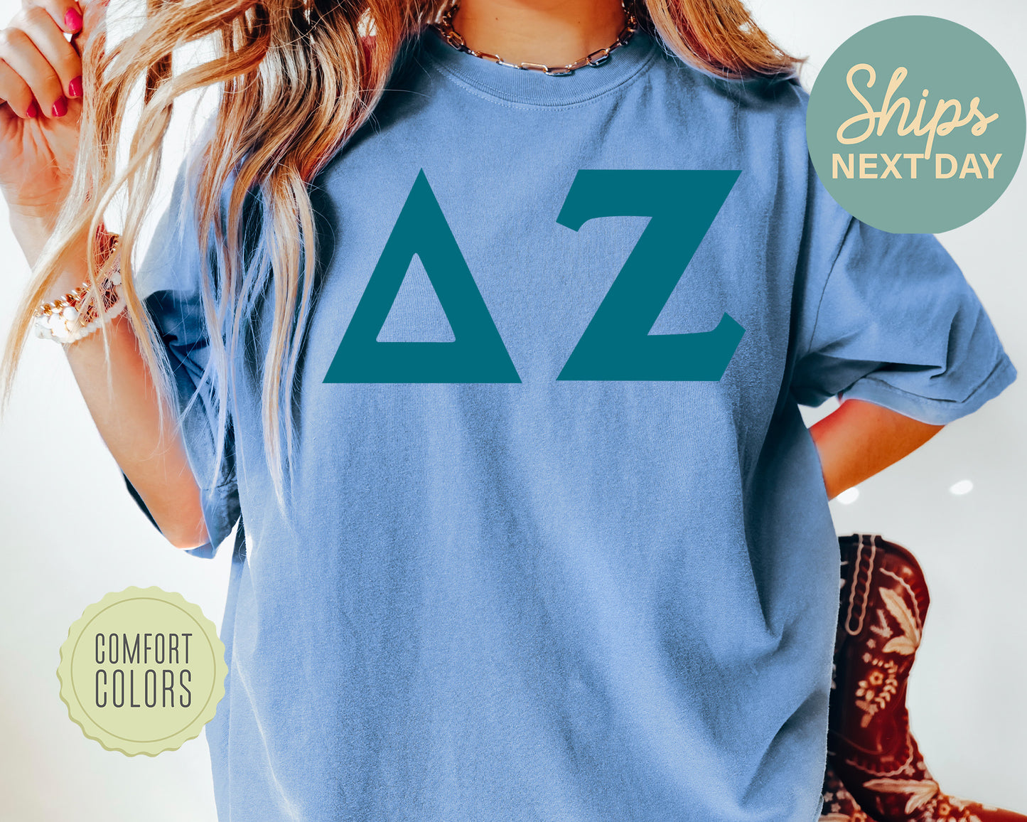 Delta Zeta Back to the Basics Comfort Colors Sorority T-shirt _ 635g